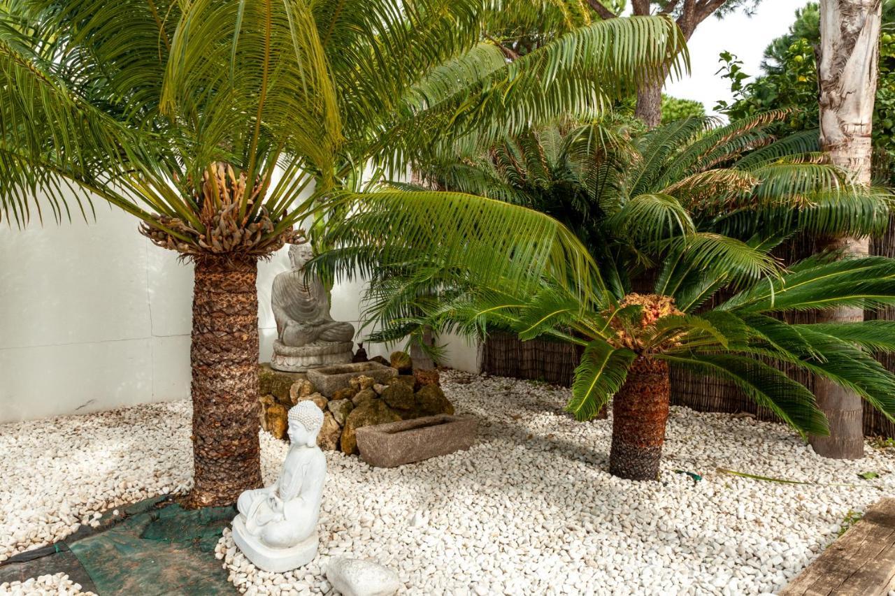 Chalet Con Piscina Privada En Mazagón מראה חיצוני תמונה